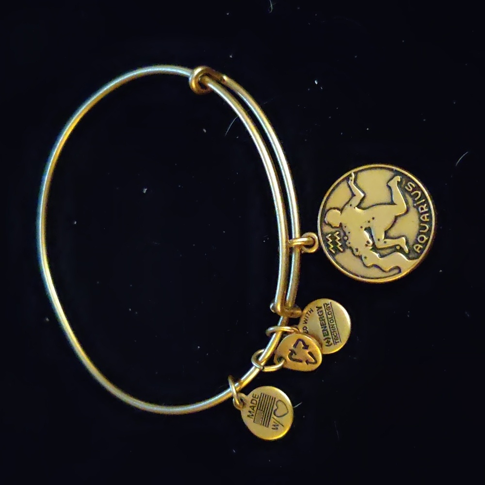 Alex and Ani Women's Gold Tone Bracelet - Aquarius